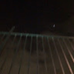 Meet your Posher, Jackson